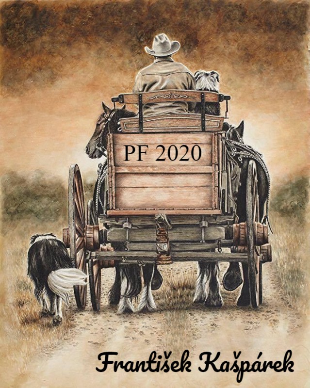 PF2020